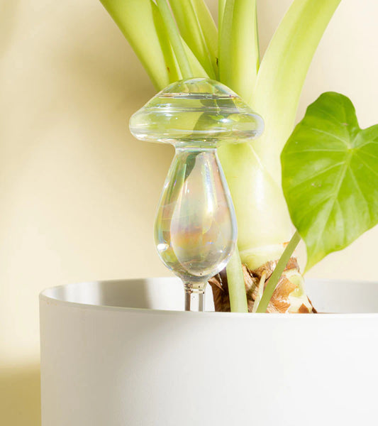 Irrigateur champignon irisé en verre